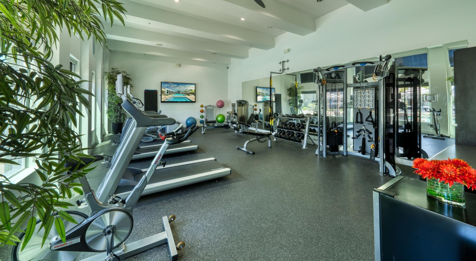 Get your workout on a room with exercise equipment and plants